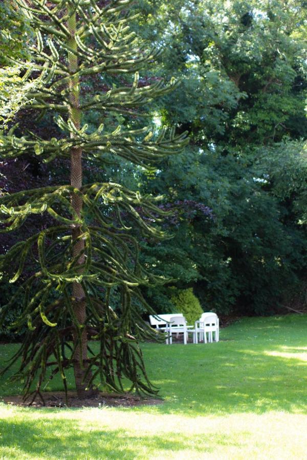 Kathleens Country House Lower Coolcorcoran Экстерьер фото